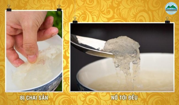 Kinh nghiệm mua yến sào Kinh nghiệm mua yến sào