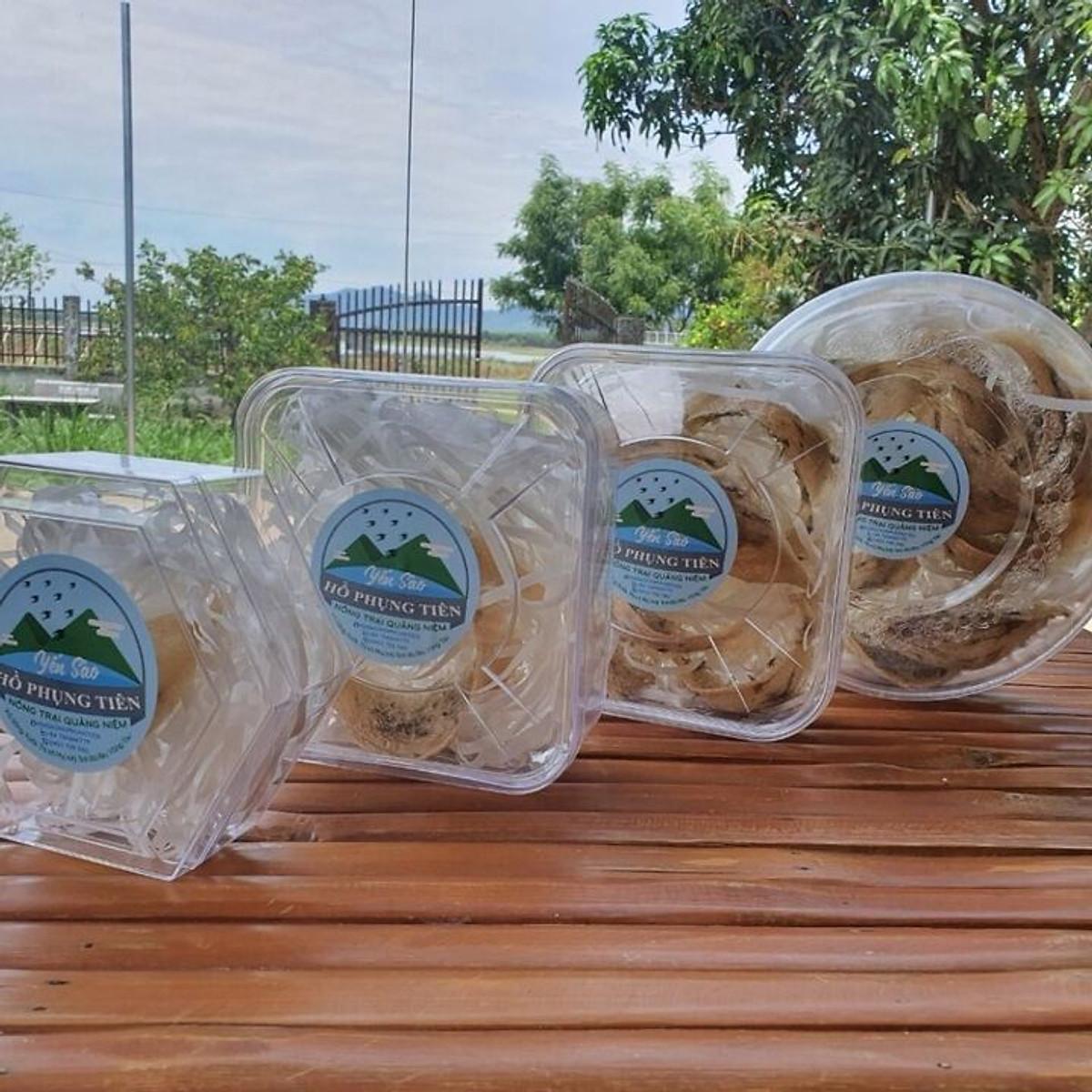 thu hoạch tổ yến thu hoạch tổ yến