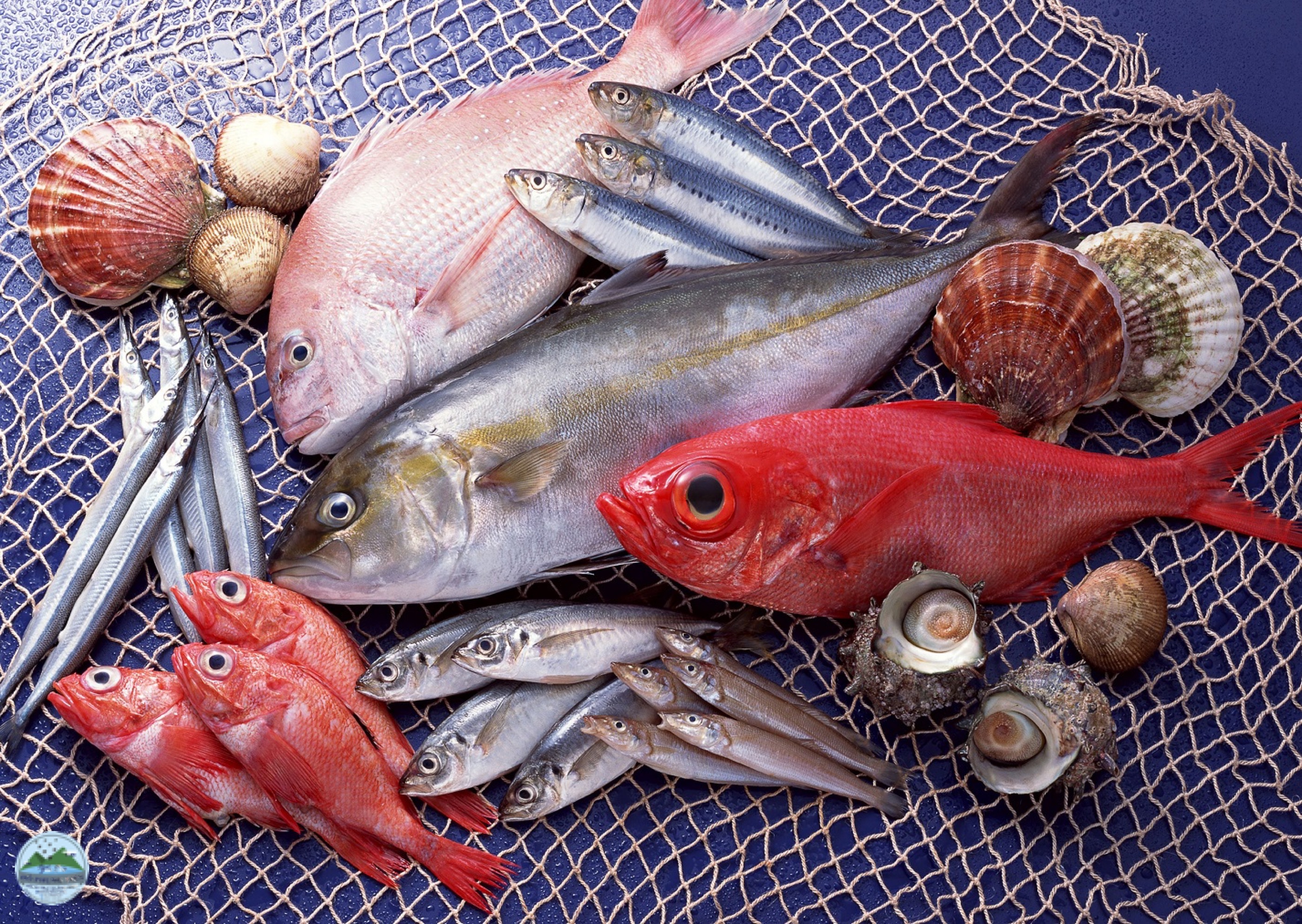 Món ăn tăng cường sức khoẻ nam giới Món ăn tăng cường sức khoẻ nam giới