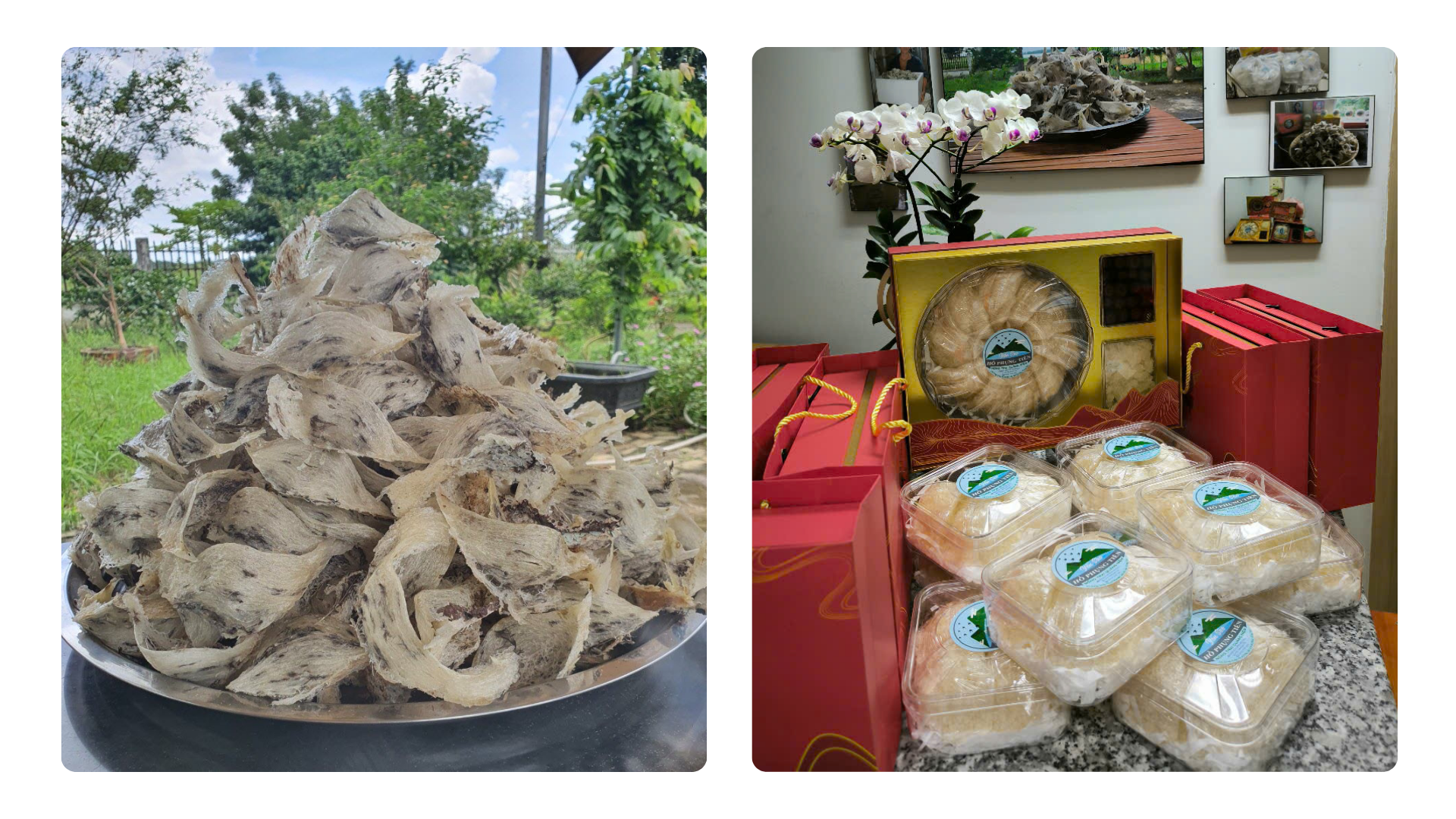 nen-mua-yen-sao-loai-nao nen-mua-yen-sao-loai-nao