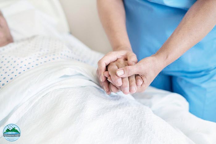 Người ốm có nên ăn yến sào Người ốm có nên ăn yến sào