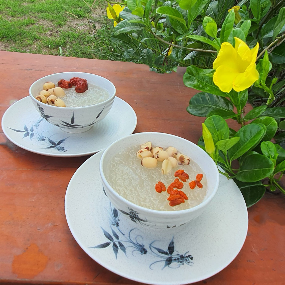 Tổ Yến chưng đường phèn Tổ Yến chưng đường phèn