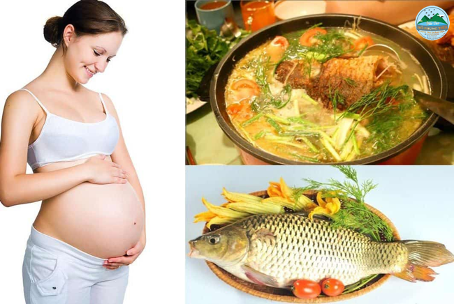 Những thứ phụ nữ mang thai không nên ăn Những thứ phụ nữ mang thai không nên ăn