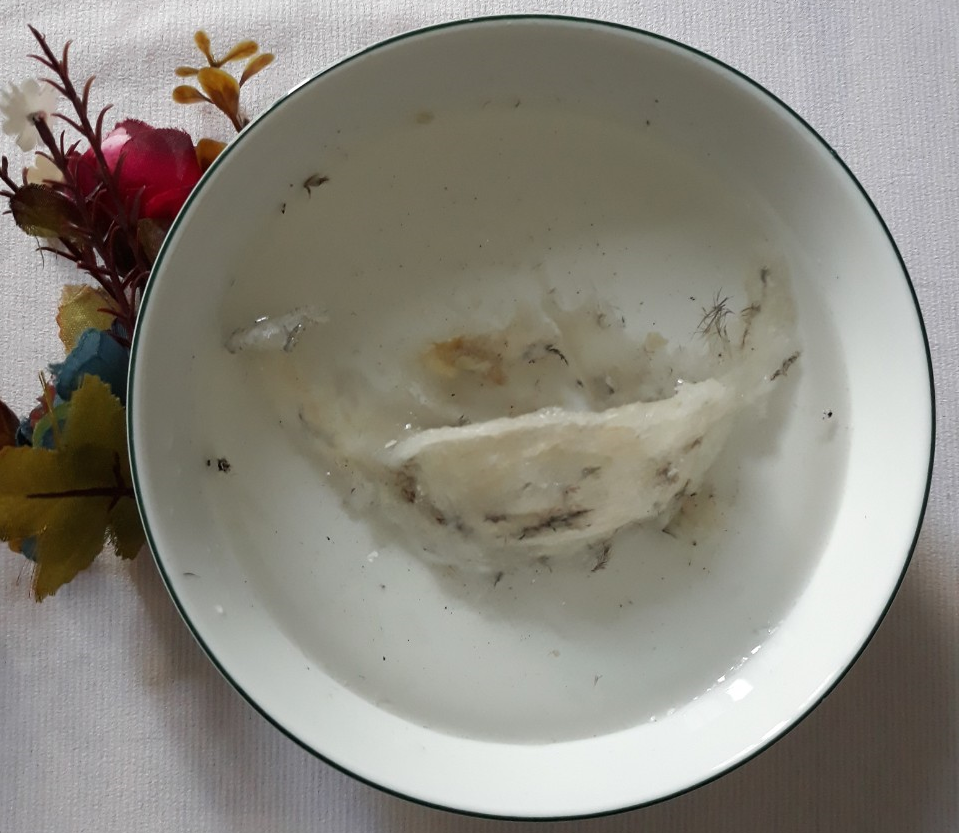 Sơ chế, làm sạch tổ yến là công đoạn quan trọng trong hướng dẫn chưng yến Sơ chế, làm sạch tổ yến là công đoạn quan trọng trong hướng dẫn chưng yến