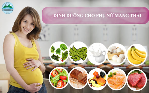 Phụ nữ trước khi mang thai nên bổ sung gì Phụ nữ trước khi mang thai nên bổ sung gì