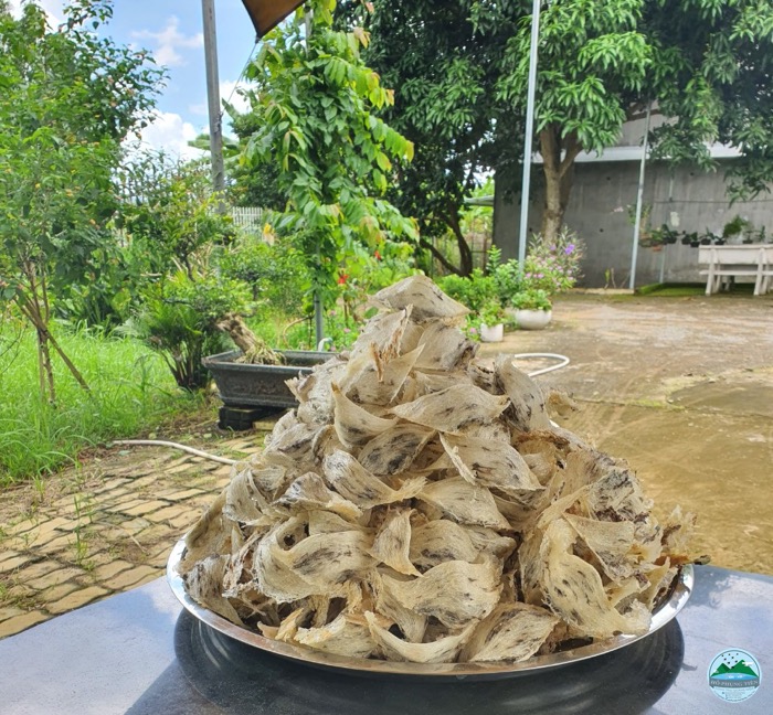 Rối loạn tiền đình ở người già Rối loạn tiền đình ở người già