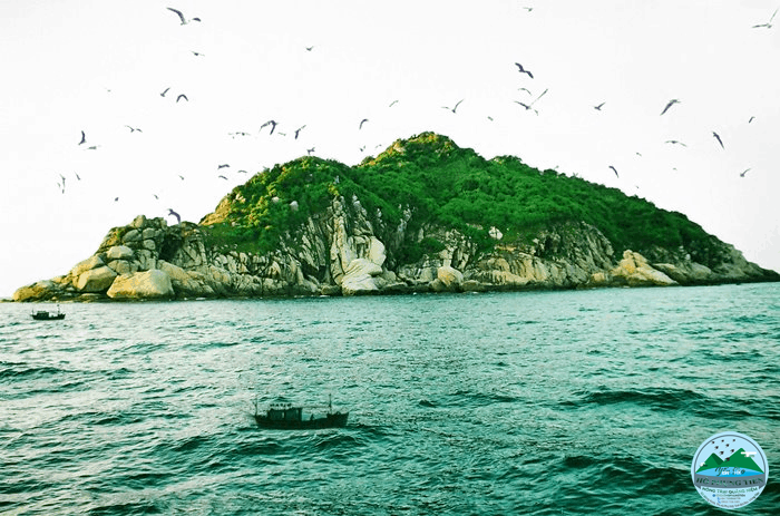 So sánh các loại yến sào So sánh các loại yến sào