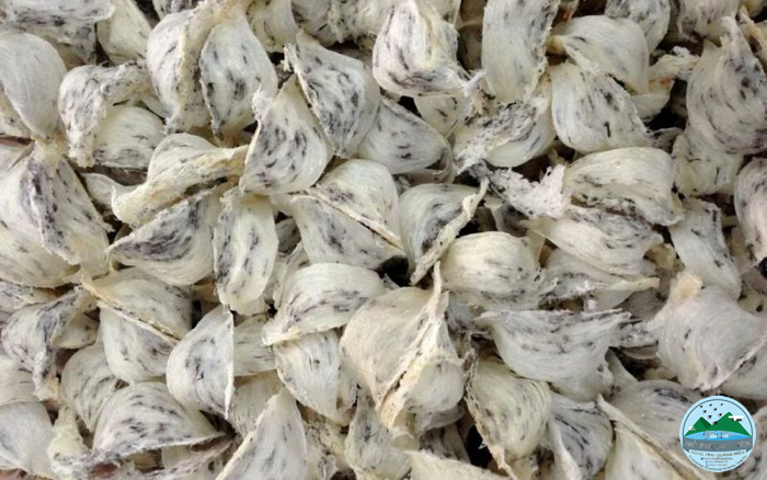 tác dụng của các loại tổ yến tác dụng của các loại tổ yến