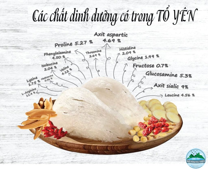 tác dụng của các loại tổ yến tác dụng của các loại tổ yến