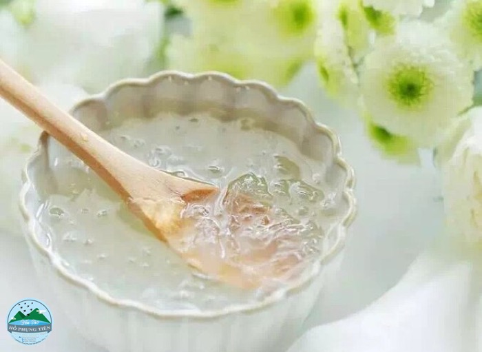 Tác dụng của tổ yến chưng đường phèn Tác dụng của tổ yến chưng đường phèn