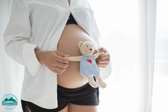 Tác dụng của tổ yến đối với bà bầu Tác dụng của tổ yến đối với bà bầu