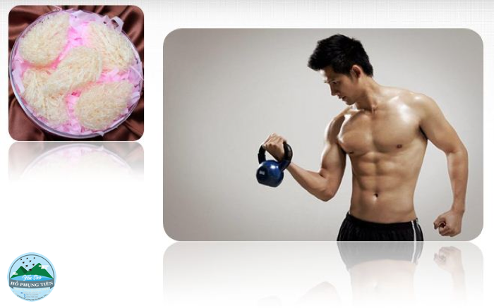 Tác dụng của tổ yến đối với nam giới Tác dụng của tổ yến đối với nam giới