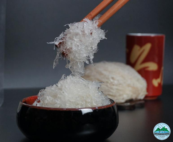 tác dụng của tổ yến tươi tác dụng của tổ yến tươi