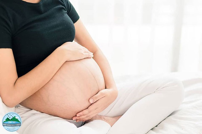 Tác dụng của tổ yến và cách dùng Tác dụng của tổ yến và cách dùng