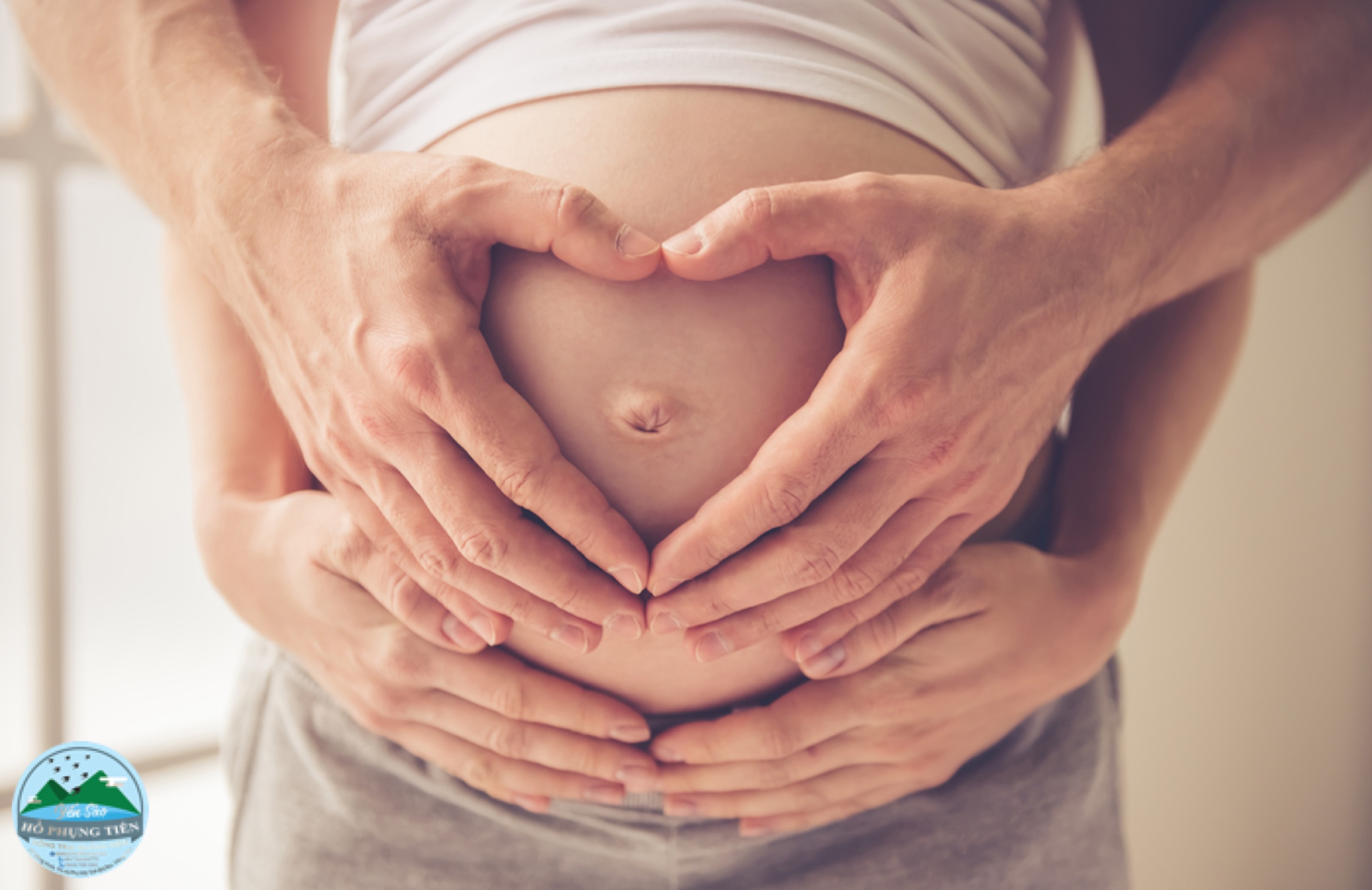 Tác dụng của tổ yến với bà bầu Tác dụng của tổ yến với bà bầu