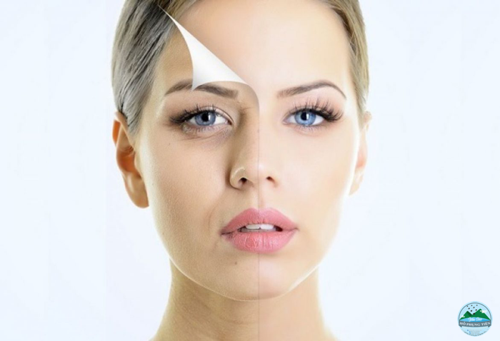 Tác dụng của tổ yến với làn da Tác dụng của tổ yến với làn da