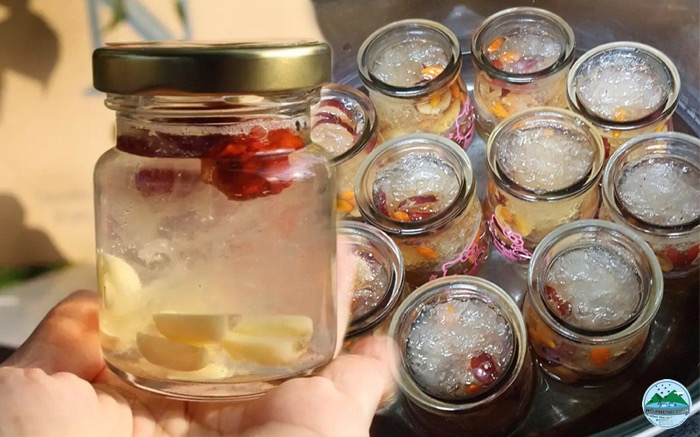 tác dụng của tổ yến với người bị ung thư tác dụng của tổ yến với người bị ung thư