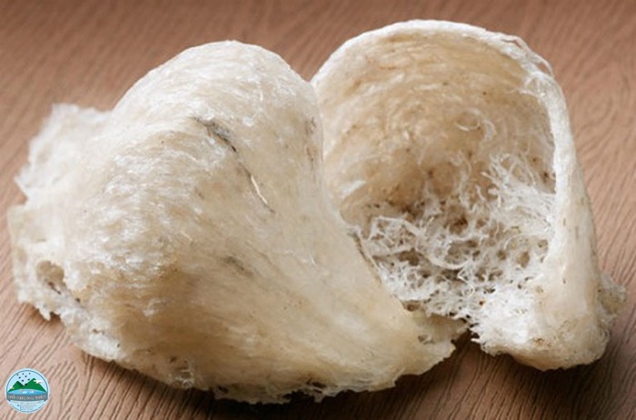 tác dụng của tổ yến với phụ nữ tác dụng của tổ yến với phụ nữ