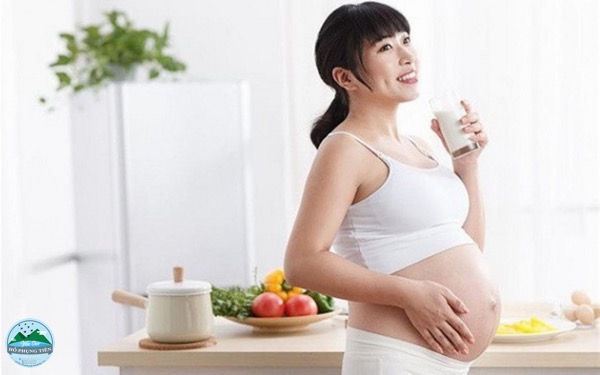 tác dụng của tổ yến với thai nhi tác dụng của tổ yến với thai nhi