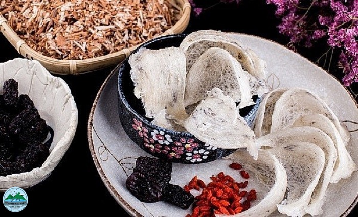 Tác dụng của yến sào với nam giới Tác dụng của yến sào với nam giới