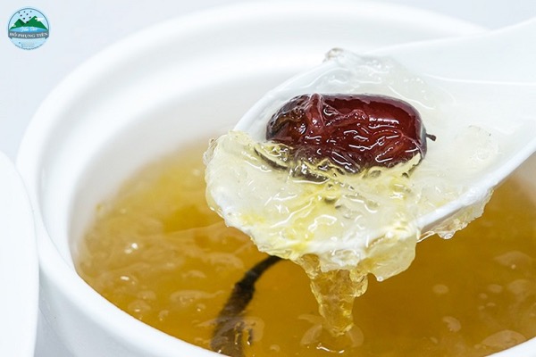 Tác dụng của yến sào với sức khỏe Tác dụng của yến sào với sức khỏe