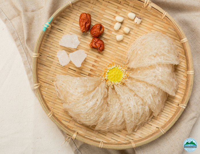 tác dụng khi ăn yến tác dụng khi ăn yến