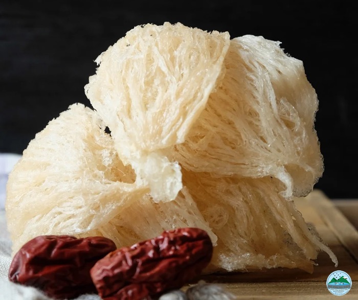 tác dụng thật sự của tổ yến tác dụng thật sự của tổ yến