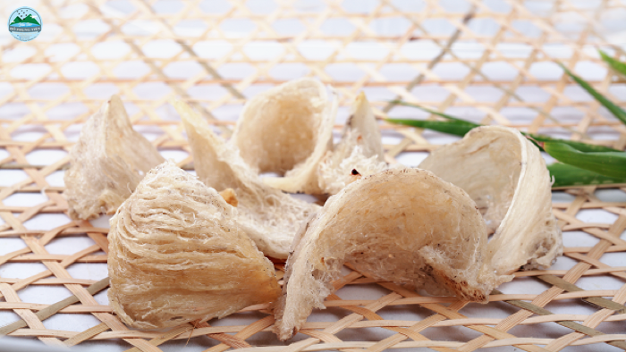 Yến sào Yến sào