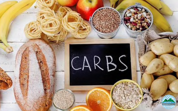 Thực phẩm lợi sữa Thực phẩm lợi sữa