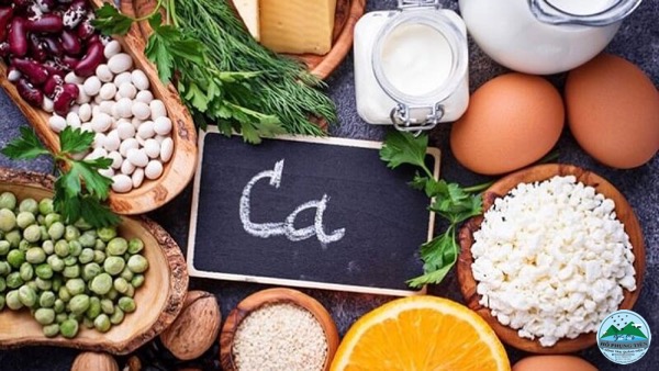 Thực phẩm lợi sữa Thực phẩm lợi sữa