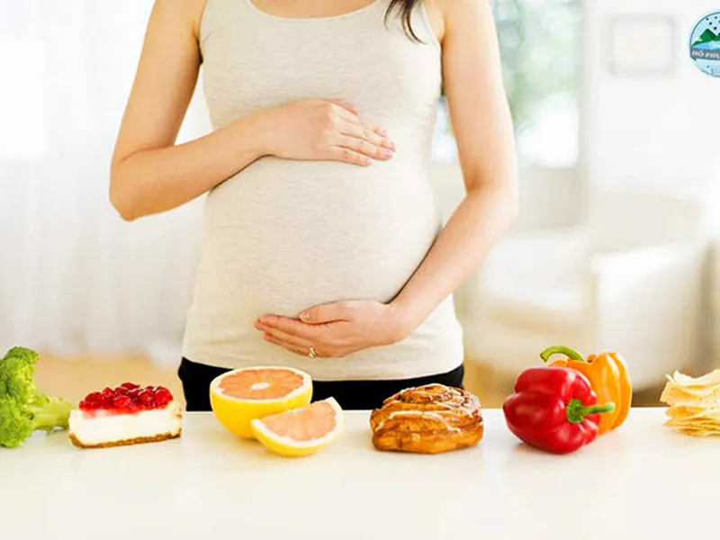 Giá trị dinh dưỡng của tổ yến mang lại cho sức khỏe