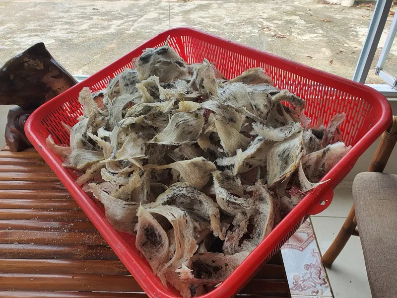 Yến sào thô 10g