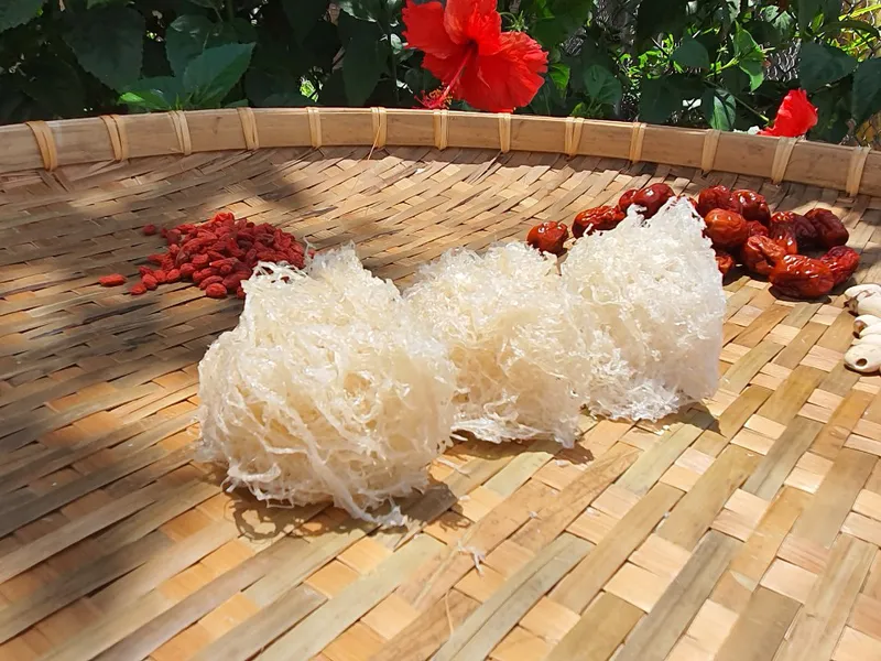 Yến sào sạch 20g