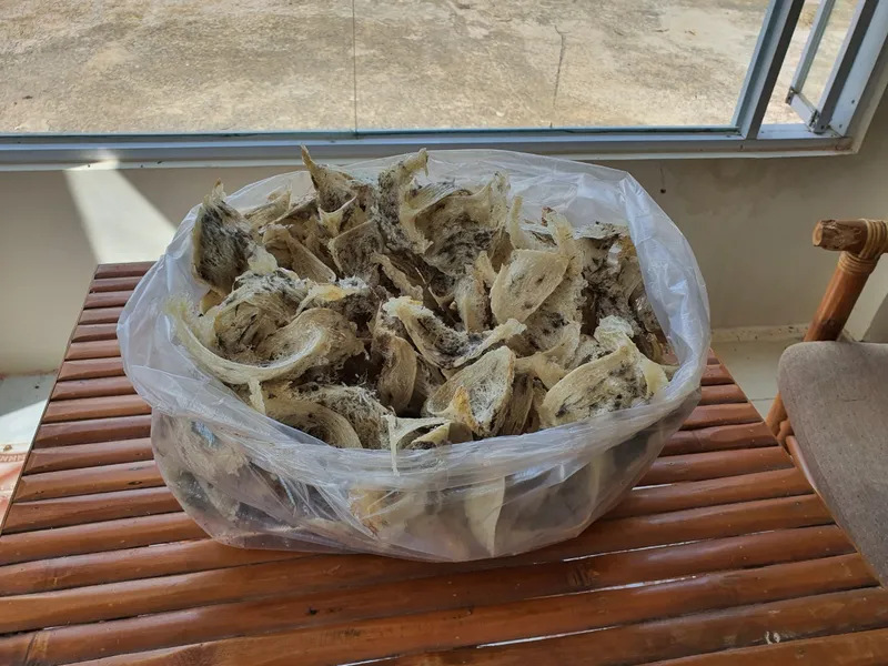 Yến sào thô 100g
