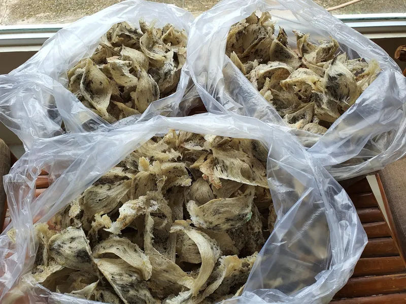 Yến sào thô 50g