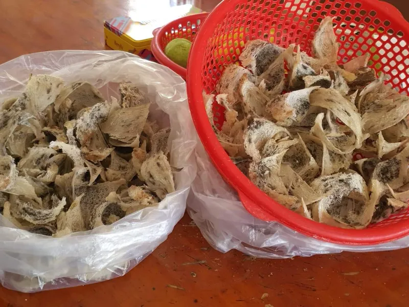 Yến sào thô 50g
