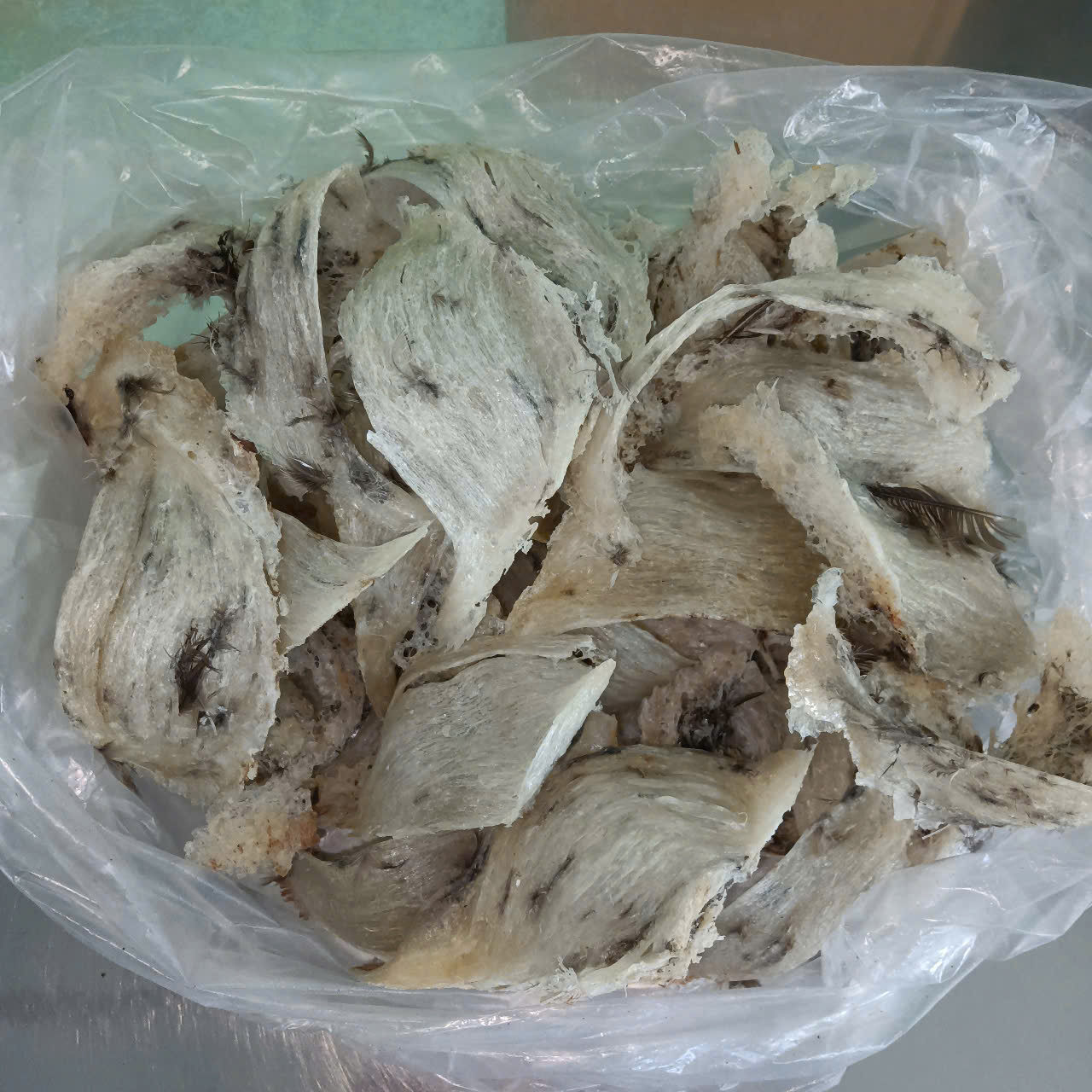 tổ yến nguyên chất tổ yến nguyên chất