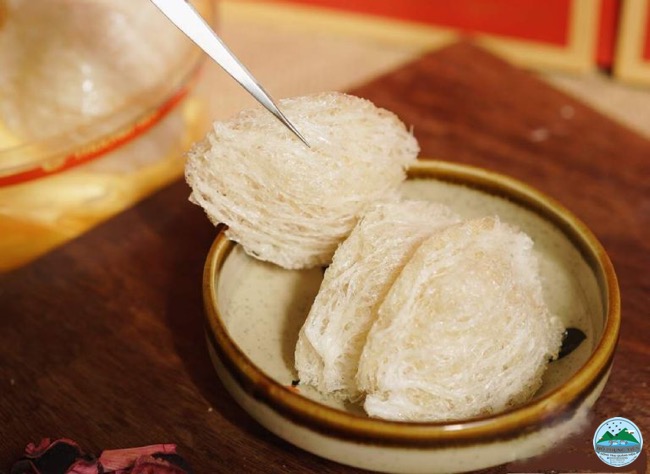 tổ yến nguyên chất tổ yến nguyên chất