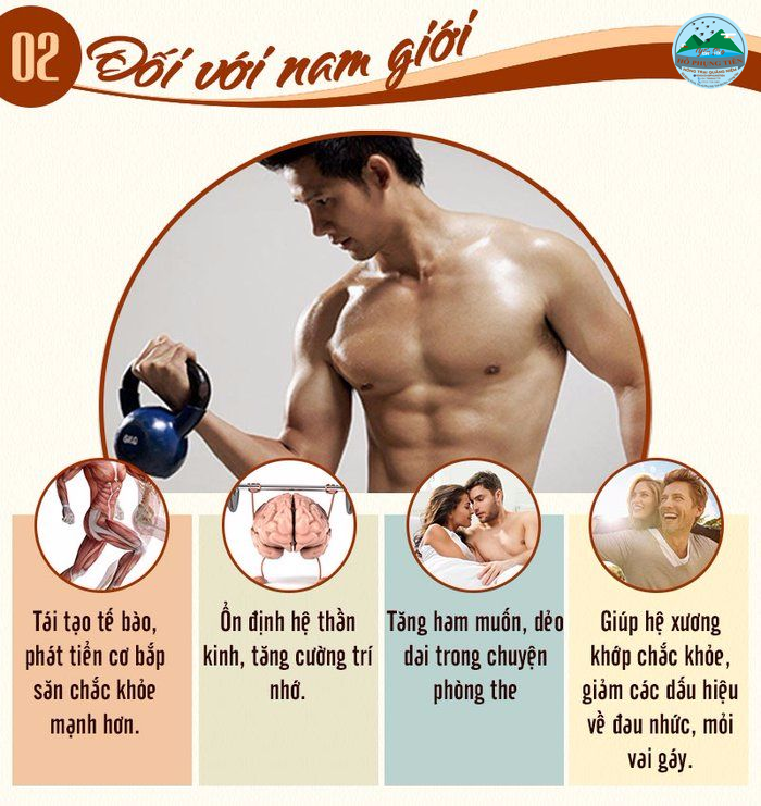 Tổ yến sào có tác dụng gì Tổ yến sào có tác dụng gì