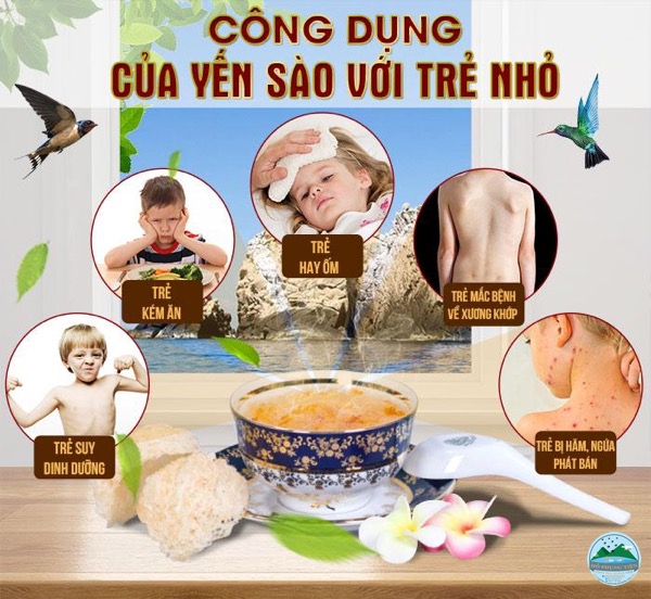 Tổ yến tốt cho đối tượng nào Tổ yến tốt cho đối tượng nào