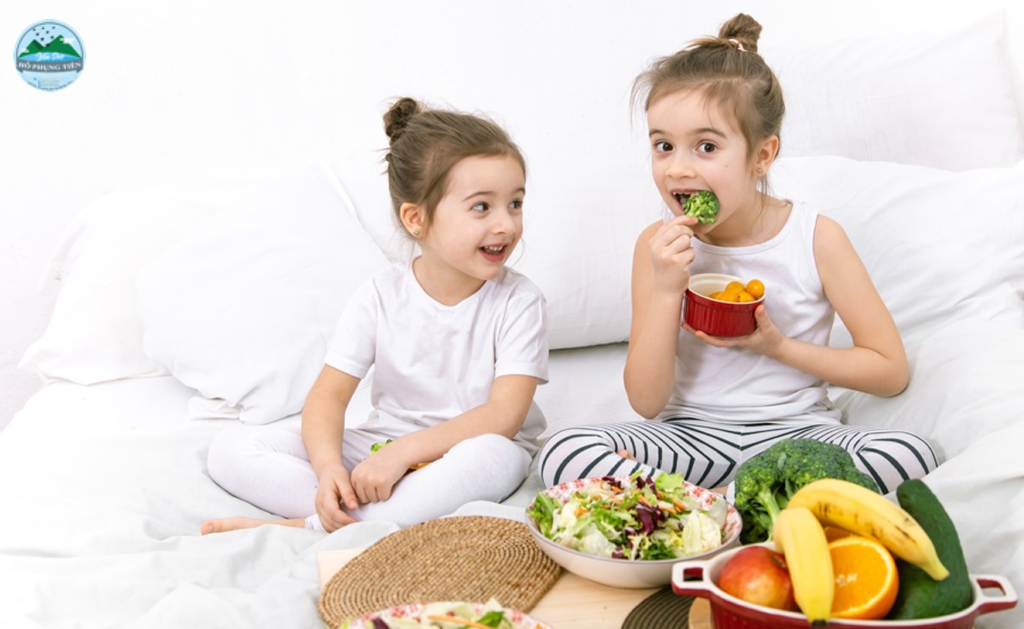 Top 5 công dụng thần kỳ của yến sào Top 5 công dụng thần kỳ của yến sào