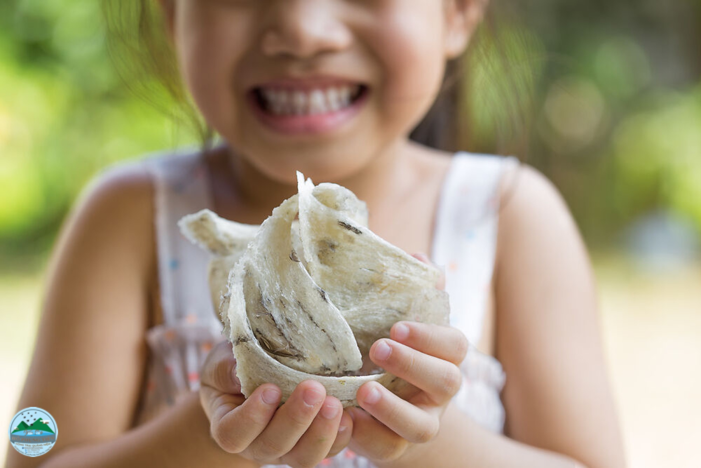 Tác dụng của tổ yến với trẻ nhỏ Tác dụng của tổ yến với trẻ nhỏ