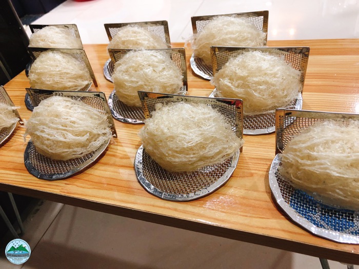 Trong yến sào có chất gì Trong yến sào có chất gì