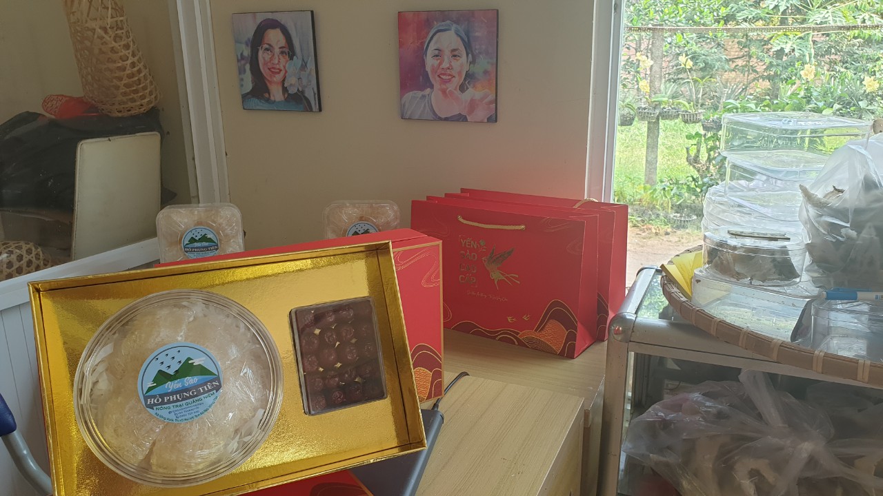 Trong yến sào có chất gì Trong yến sào có chất gì