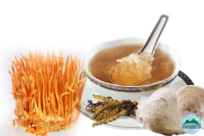 Yến chưng Đông Trùng Hạ Thảo Yến chưng Đông Trùng Hạ Thảo