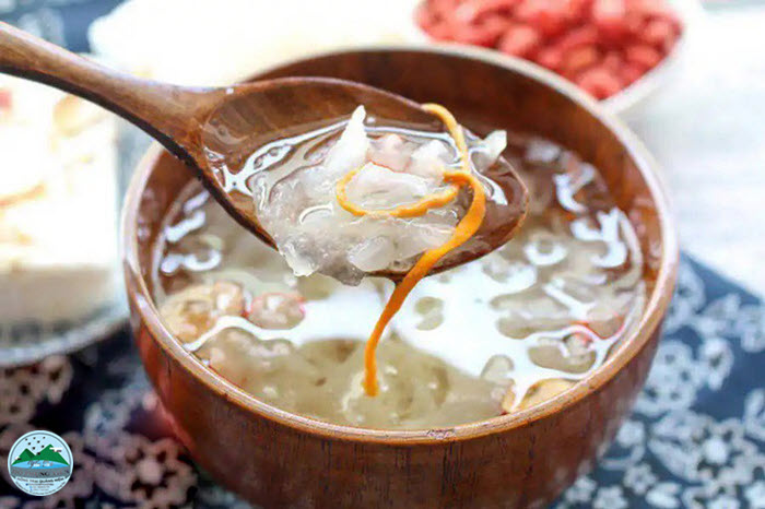 yến sào yến sào