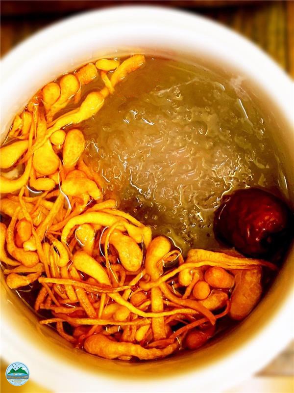 Yến chưng đông trùng Yến chưng đông trùng