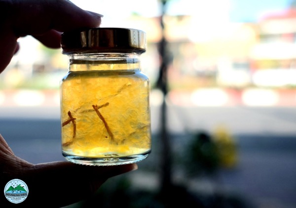 Yến chưng đông trùng Yến chưng đông trùng