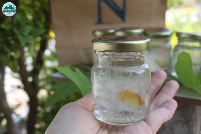 Yến chưng lâu có tốt không Yến chưng lâu có tốt không