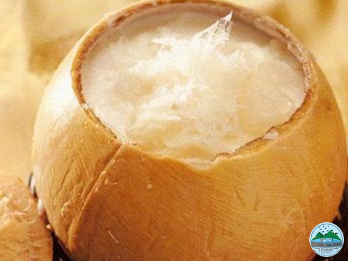 Yến chưng nước dừa Yến chưng nước dừa